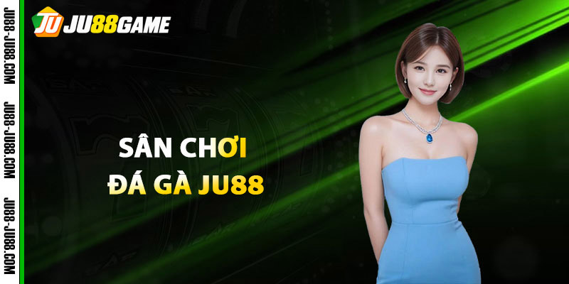 Đá Gà JU88 - Cược Kèo Đấu Kê Cực Hot Tại Sòng Bạc Quốc Tế